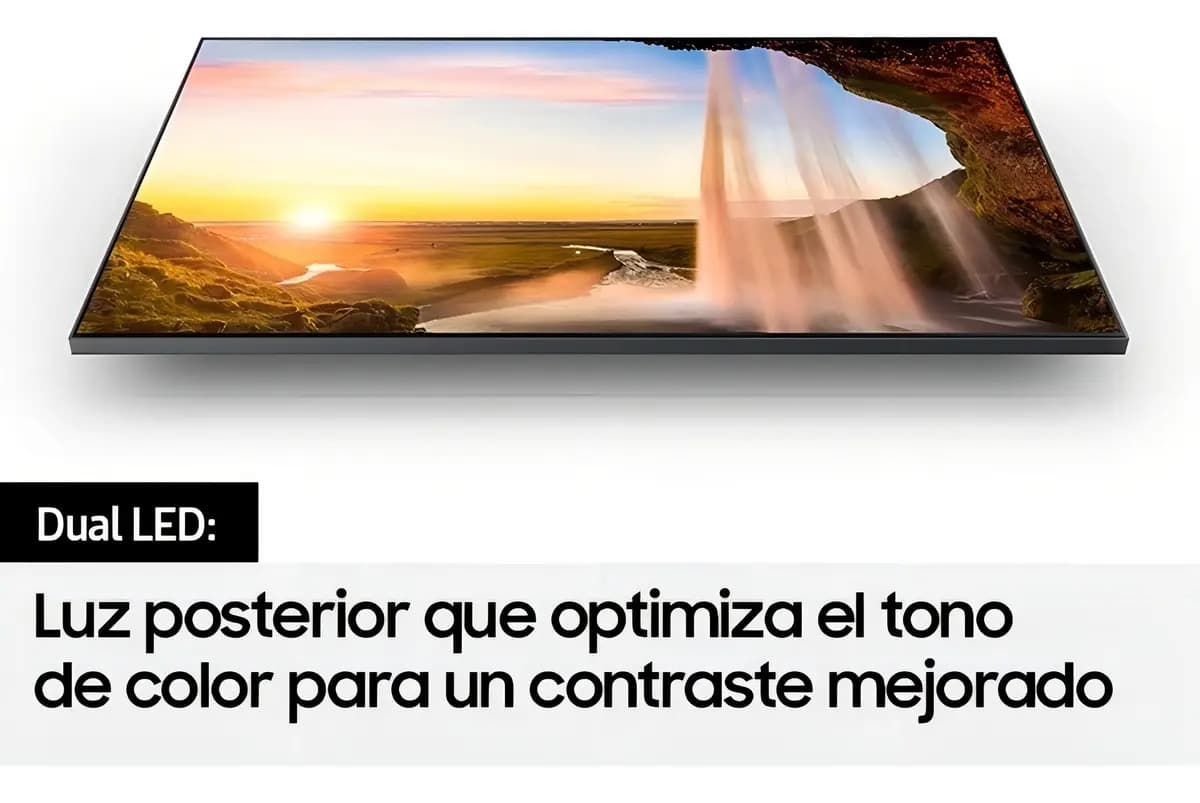 Imagen 5