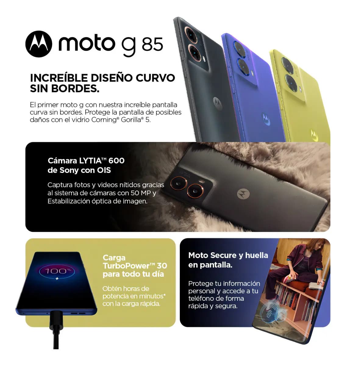 Imagen 3