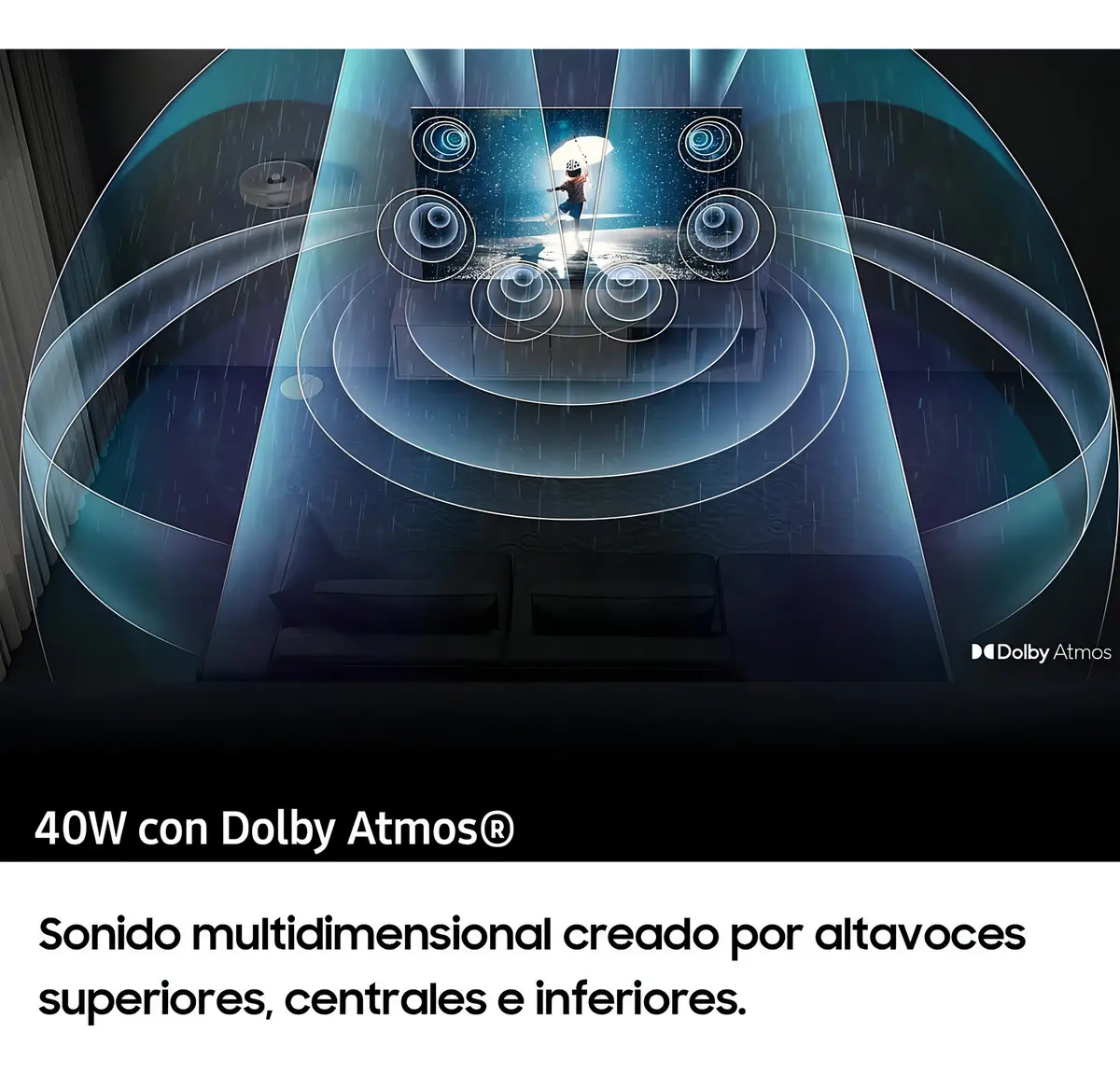 Imagen 6
