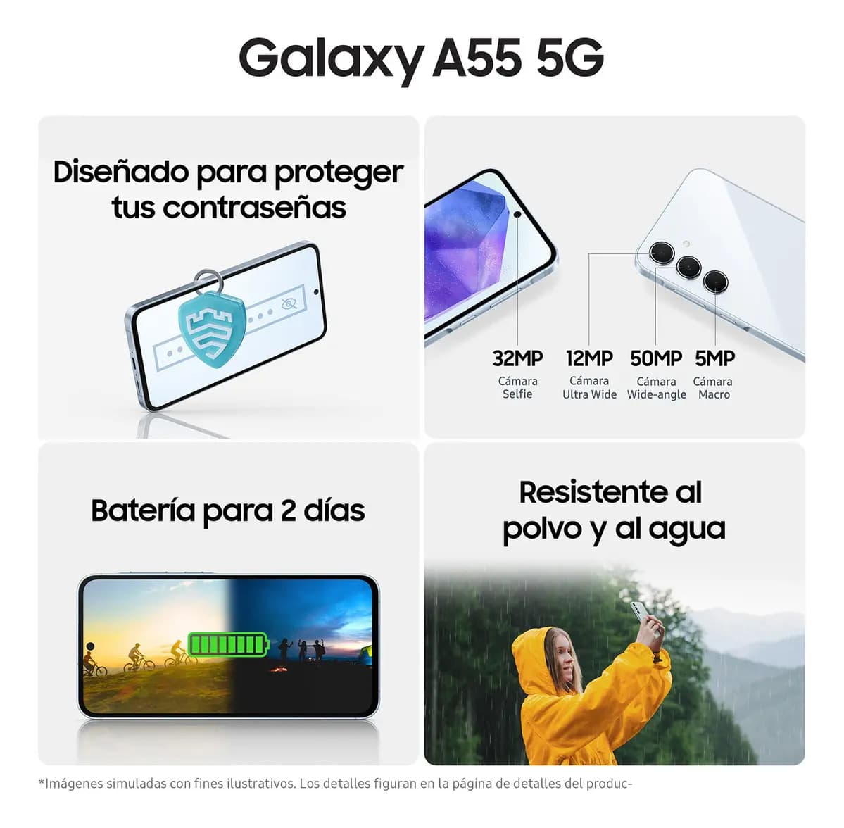 Imagen 6