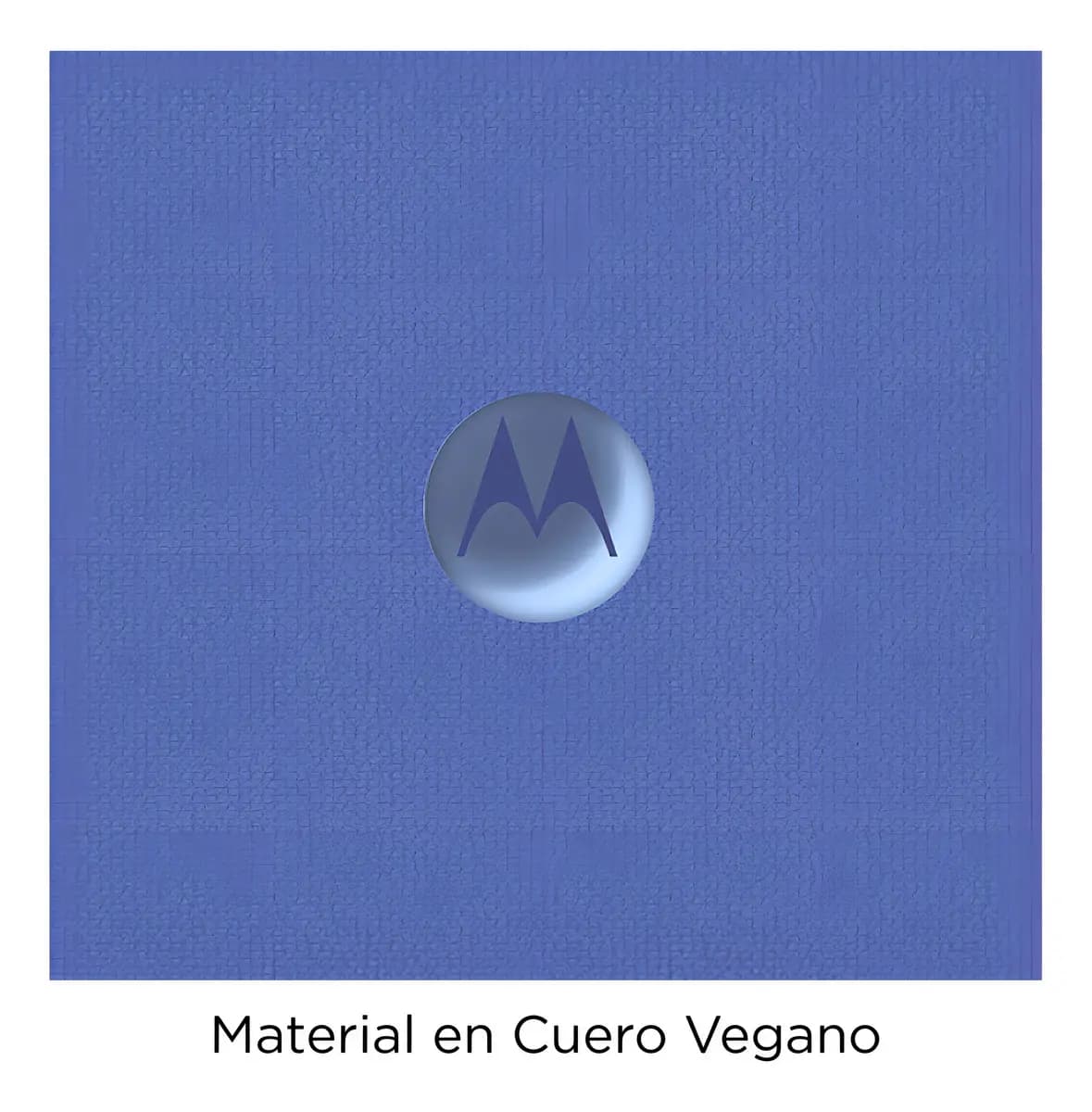 Imagen 8