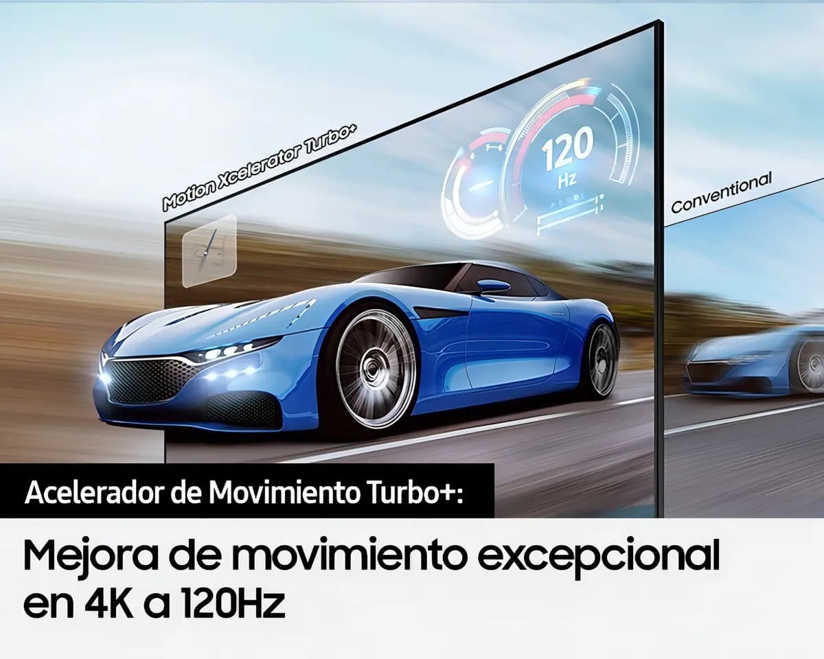 Imagen 6